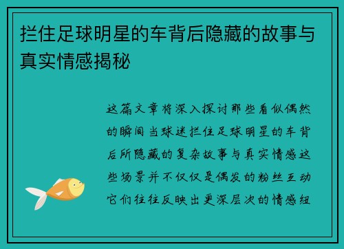 拦住足球明星的车背后隐藏的故事与真实情感揭秘